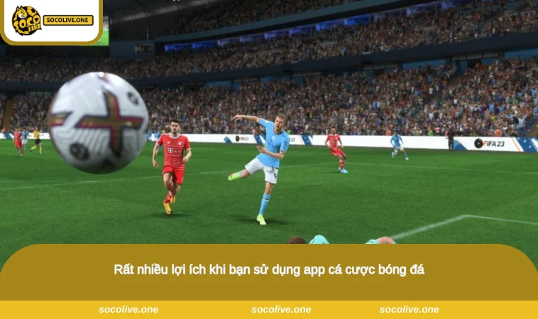 App Cá Độ Bóng Đá - Công Cụ Hỗ Trợ Cá Cược Tiện Lợi 3 Rất nhiều lợi ích khi bạn sử dụng app cá cược bóng đá