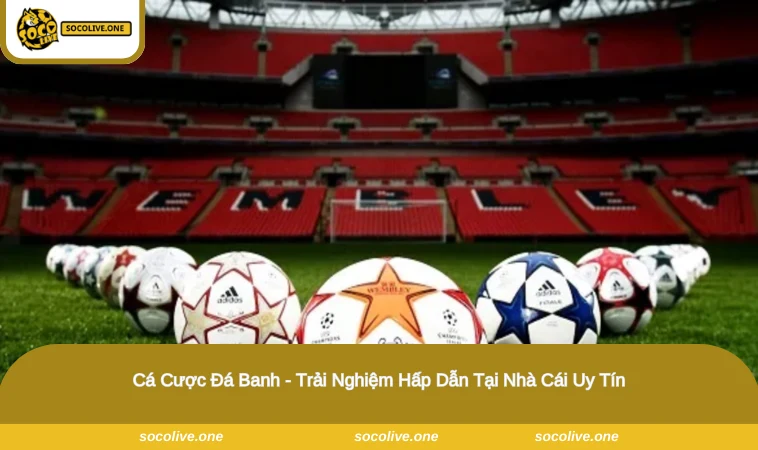 Cá Cược Đá Banh