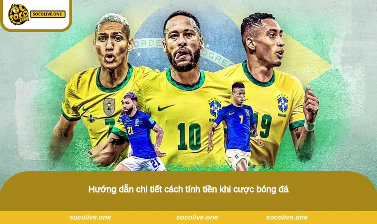 Cách Tính Tiền Trong Cá Độ Bóng Đá - Hướng Dẫn Dễ Hiểu Nhất 2 Hướng dẫn chi tiết cách tính tiền khi cược bóng đá