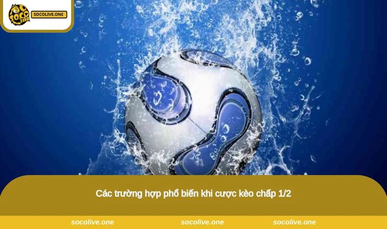 Các trường hợp phổ biến khi cược kèo chấp 1/2