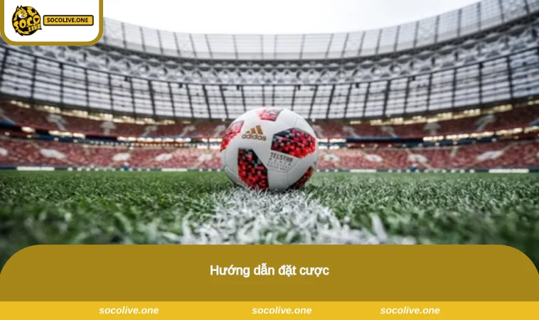 Hướng dẫn đặt cược