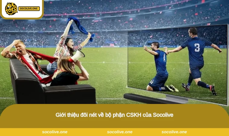 Giới thiệu đôi nét về bộ phận CSKH của Socolive