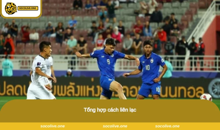 Tổng hợp cách liên lạc