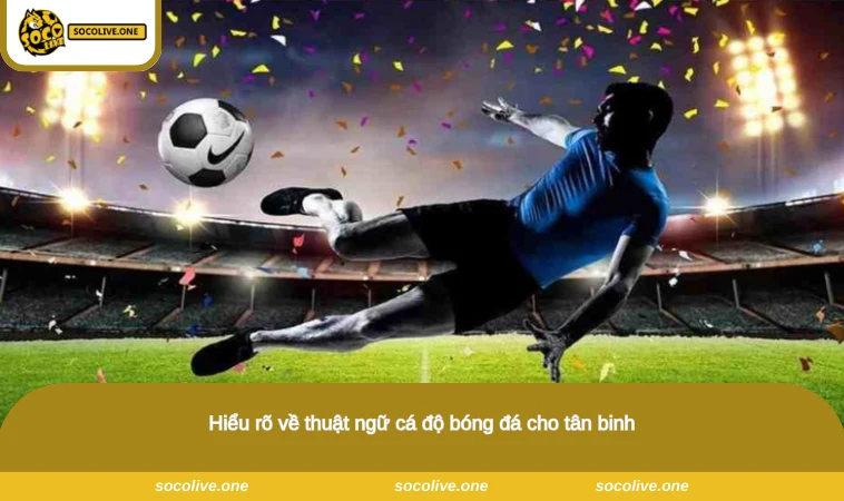 Hiểu rõ về thuật ngữ cá độ bóng đá cho tân binh
