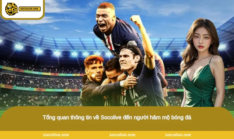 Socolive - Xem Trực Tiếp Bóng Đá Socolive TV Chất Lượng Full HD 9 Tổng quan thông tin về Socolive đến người hâm mộ bóng đá
