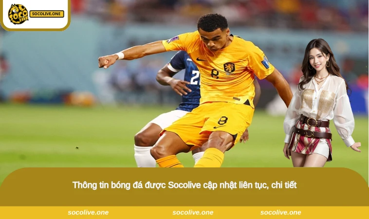 Socolive - Xem Trực Tiếp Bóng Đá Socolive TV Chất Lượng Full HD 13 Thông tin bóng đá được Socolive cập nhật liên tục, chi tiết