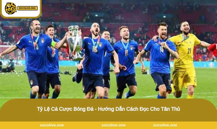 Tỷ Lệ Cá Cược Bóng Đá